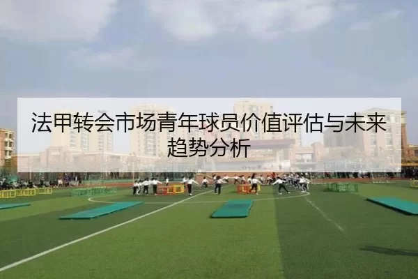 法甲转会市场青年球员价值评估与未来趋势分析